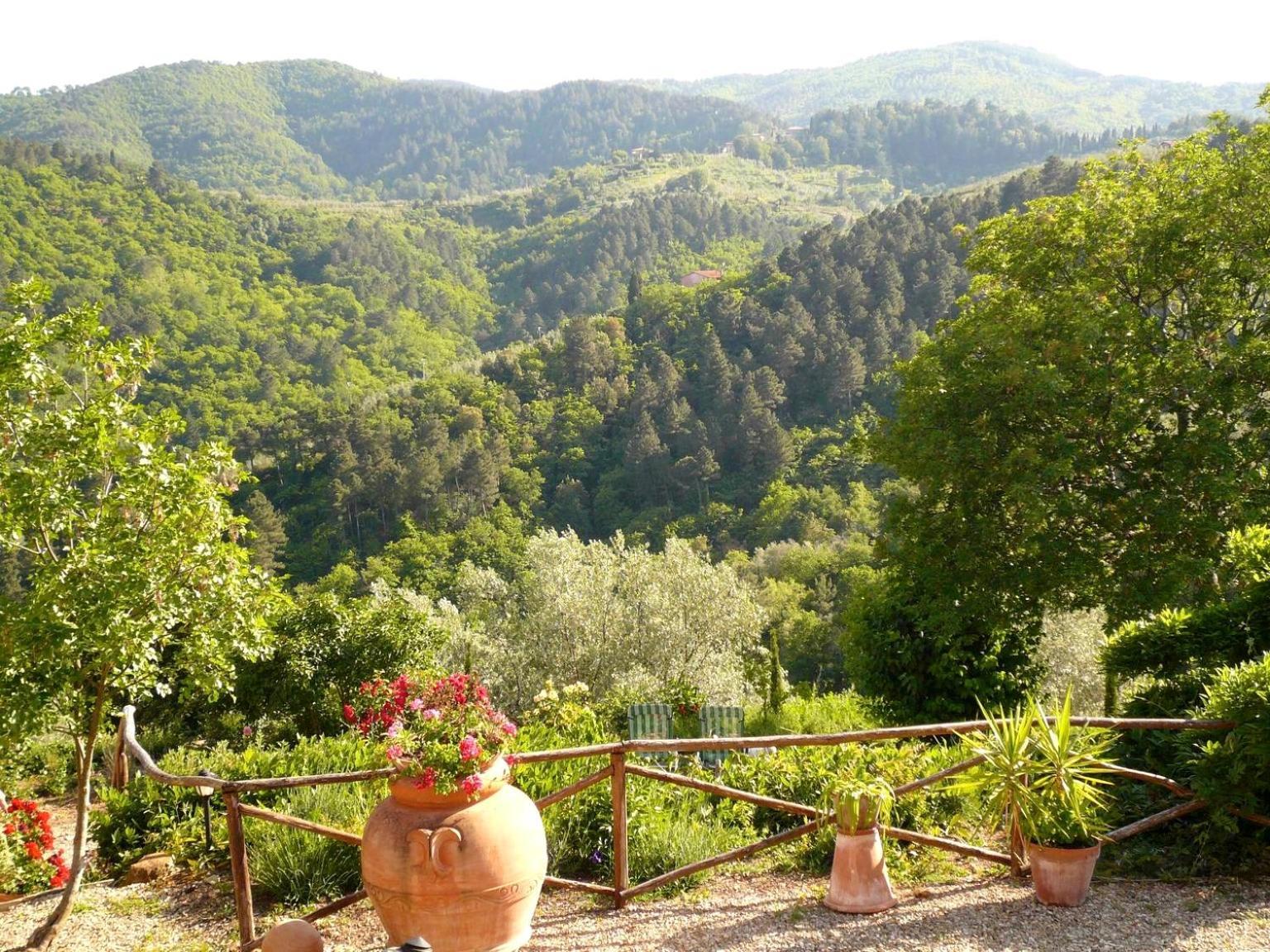 Ventena Vecchia Antico Frantoio Montevarchi Exterior foto